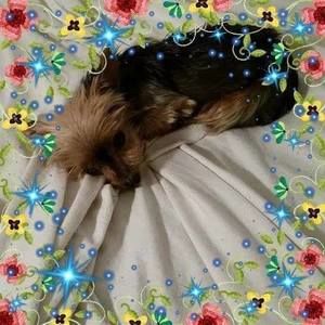 Meet your Posher, Debbie